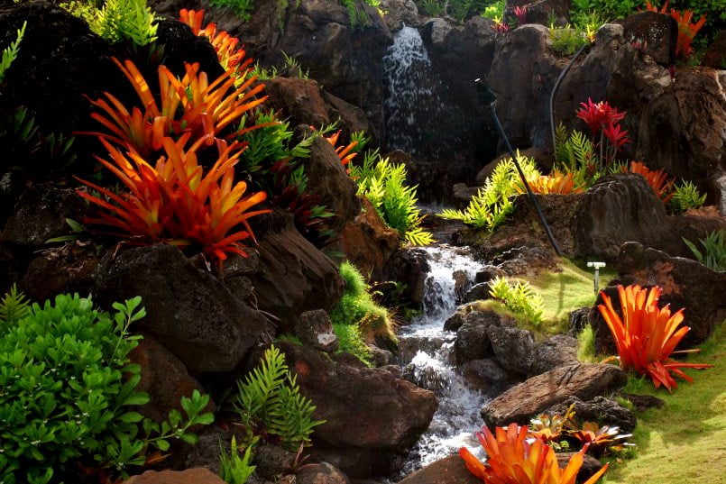 Quality Counts: Setting Standards That Differentiate Your Kauai Commercial Landscape