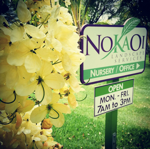 No Ka Oi Nursery on Kauai