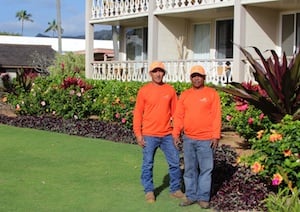 Hungry Turf: When (and Why) To Fertilize Kauai Lawns