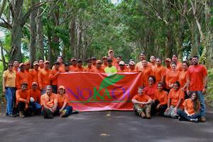 Community Works: Clearing The Koloa Tree Tunnel