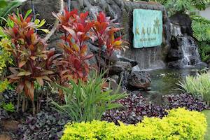 4 Ways Landscaping Can Improve Traffic Flow On Your Kauai Commercial Property