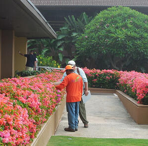 Wow Your Hotel Guests With These Landscape Maintenance & Enhancement Musts