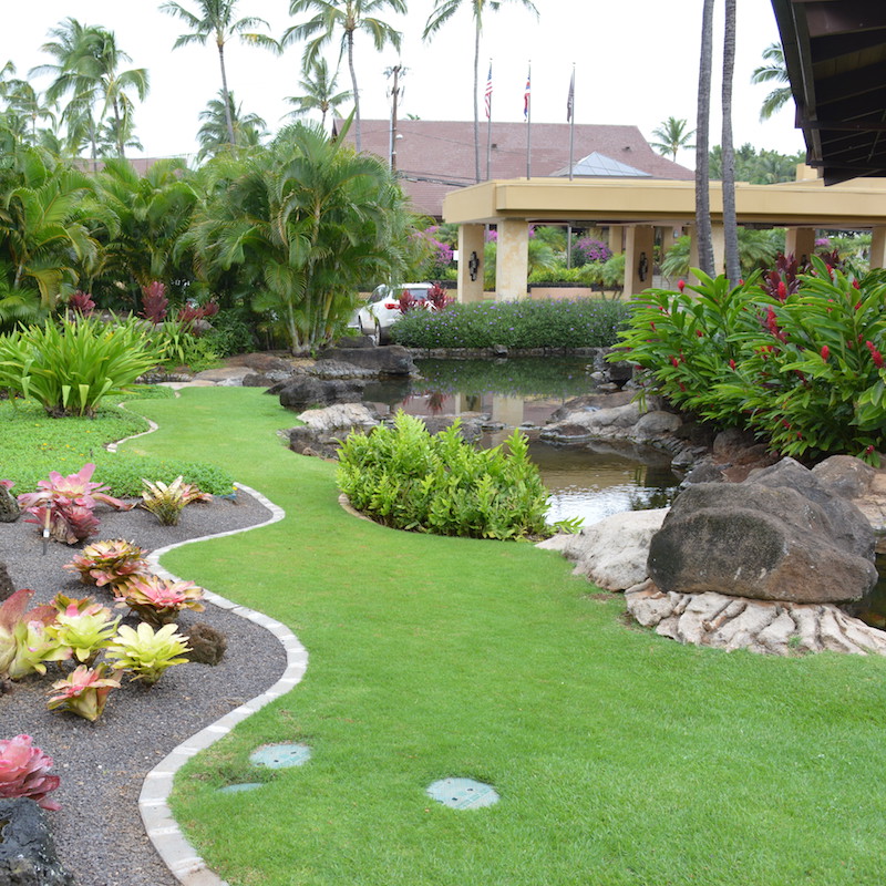Kauai Commercial Landscape, Best Plants For Commercial Landscapes