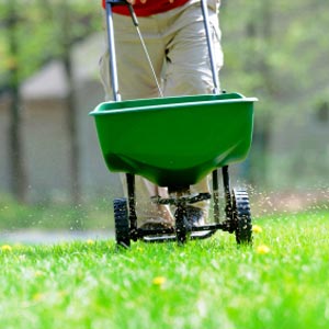 how-fertilize-grass-lawns-for-optimal-health0