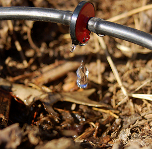 water conservation is one advantage of drip irrigation in commercial landscaping