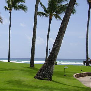 Beachhouseturf