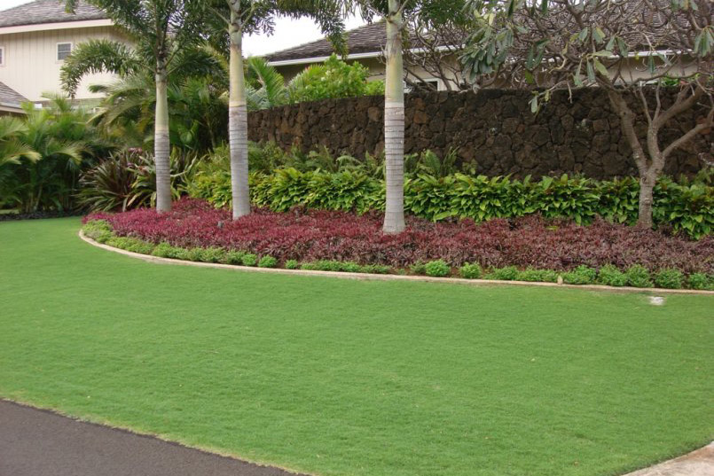 Plantings