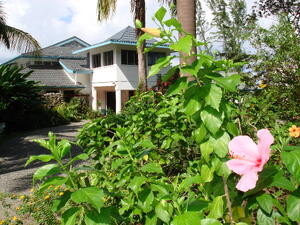 No Ka Oi Gives Tips On Keeping Your Kauai Retail Property Pristine No Ka Oi Gives Tips On Keeping Your Kauai Retail Property Pristine