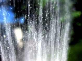 summer is an ideal time to re-evaluate the watering schedule for your commercial property