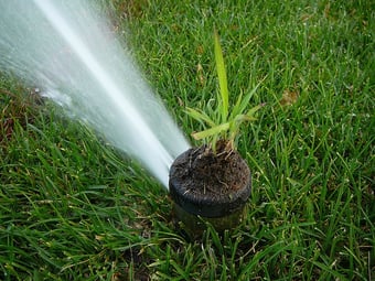 summer is an ideal time to re-evaluate the irrigation schedule for your commercial property