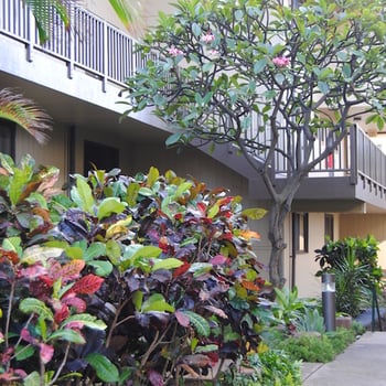 Pathway lighting safely lights the way for pedestrians on commercial Kauai properties