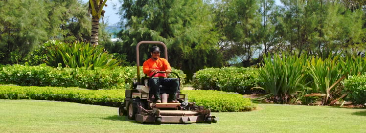 No Ka Oi addressed turf and watering concerns at the onset with an irrigation audit.