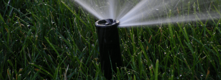 a watering schedule should be adjusted to meet the needs of a vacation property throughout the year