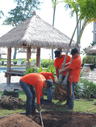 No Ka Oi crews work around challenges and help bring landscape plans to life.