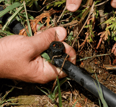 Drip irrigation is a beneficial because requires less water pressure, which is great for many of Kauai’s older resorts.