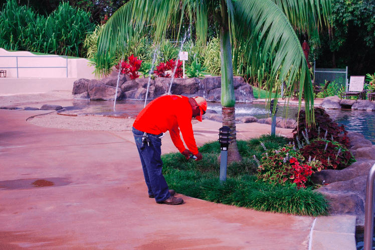Swimming pool maintenance