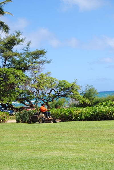 The business relationship between Kaha Lani Resort and No Ka Oi kicked off in August 2014.