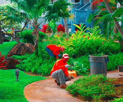 landscape maintenance crew