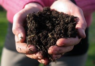 sustainable landscaping starts with the soil