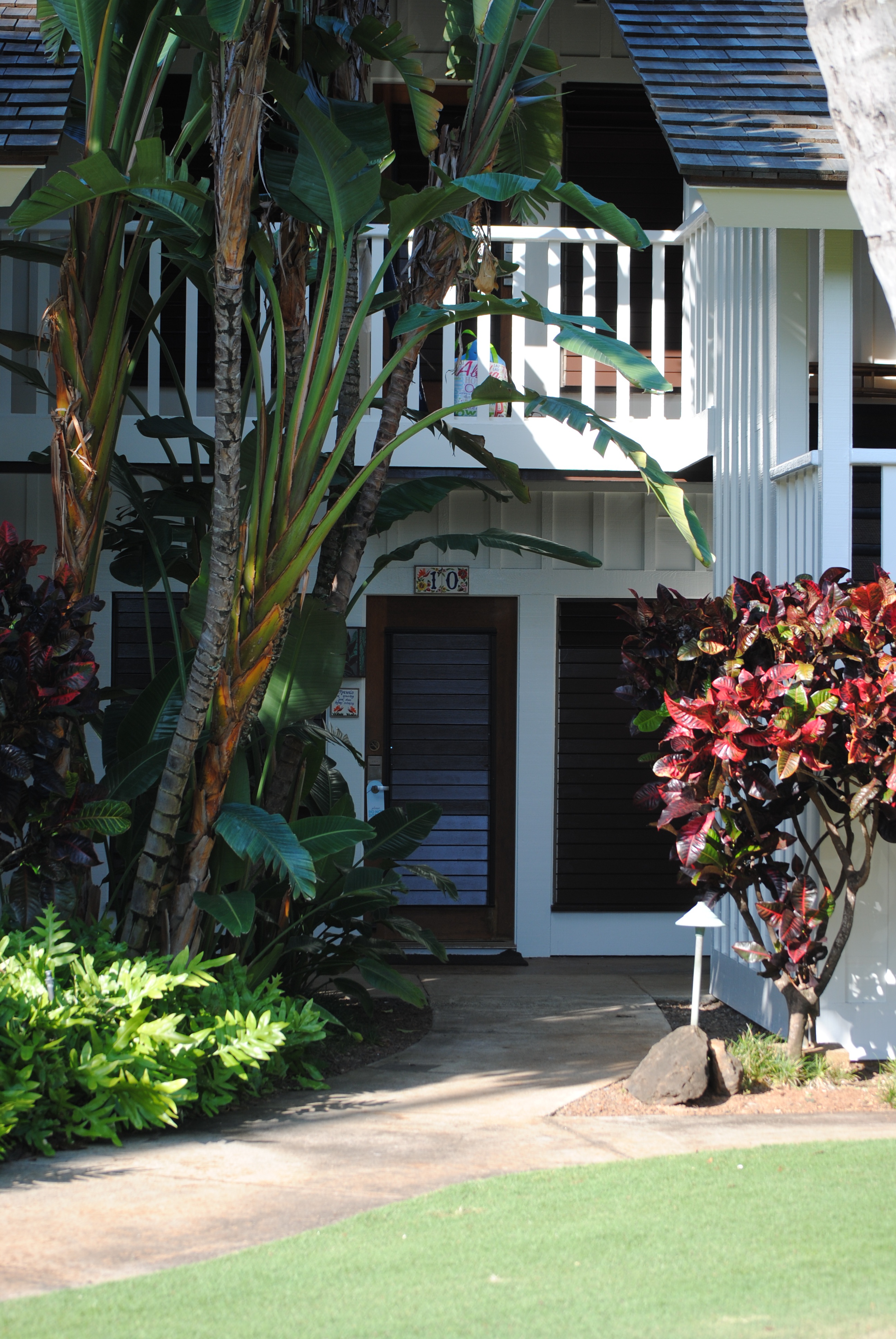 Growing a Vision at Kauai’s Keoki’s Paradise