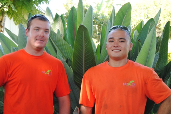 Makahuena_Palms_2.jpg